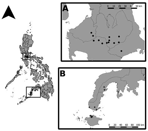 Category:Insects of the Philippines .